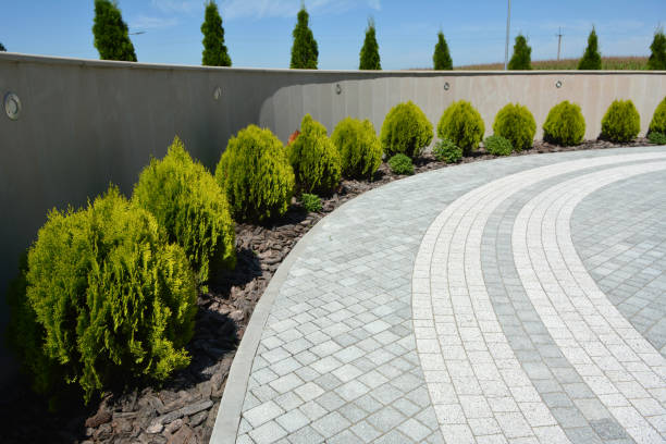 Decorative Driveway Pavers in Silt, CO